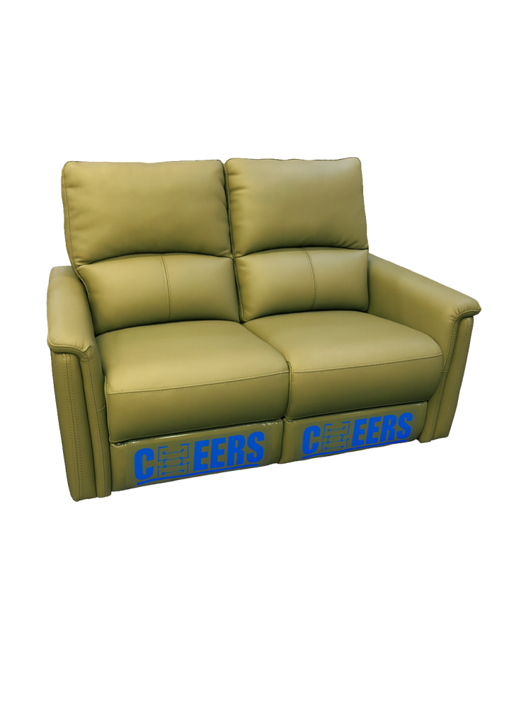 Cheers 50397 時尚型兩座位科技布電較梳化