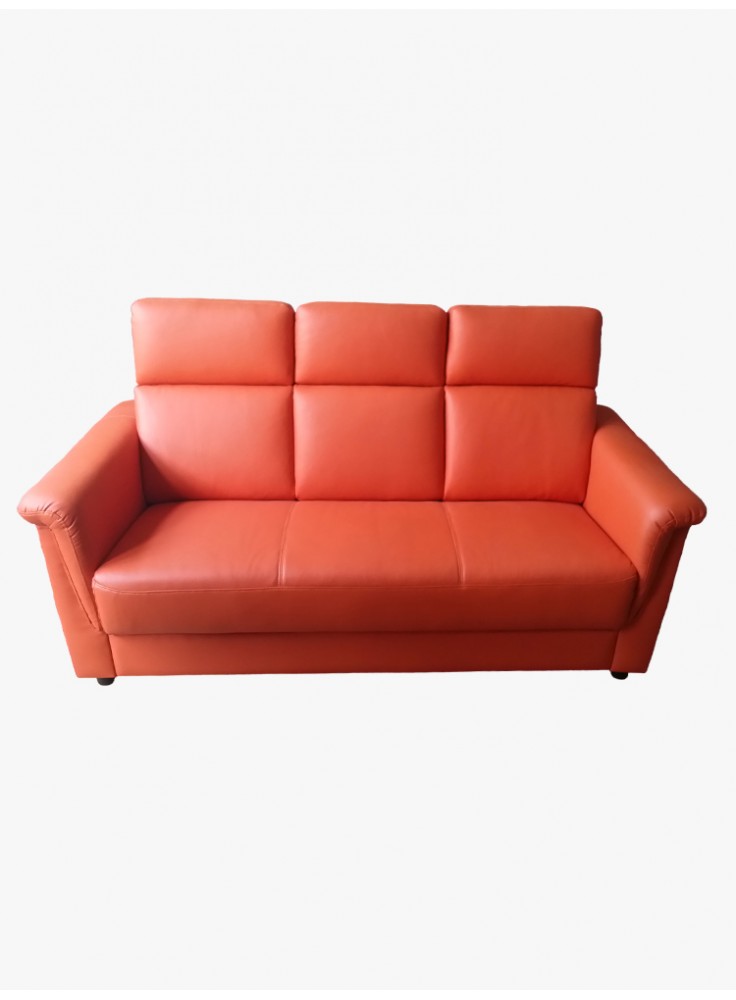 Half leather sofa (No. 2104)